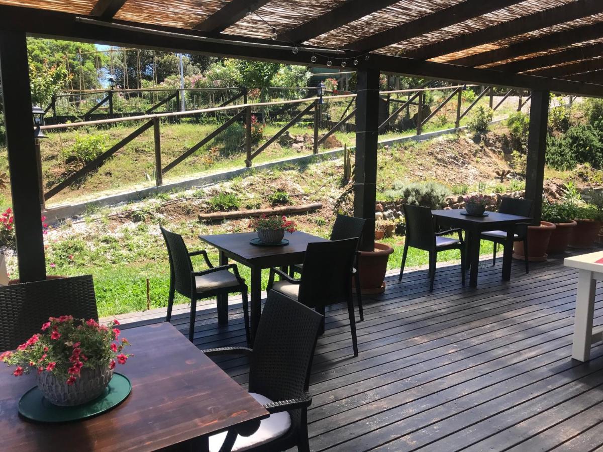 B&B Aloe Ranch Elba Rio dellʼElba Екстериор снимка
